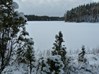 Vinter ved Lidhult søen